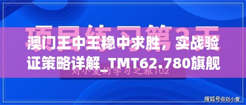 澳門王中王穩(wěn)中求勝，實(shí)戰(zhàn)驗(yàn)證策略詳解_TMT62.780旗艦版