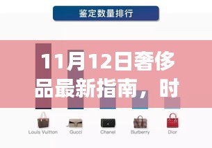 11月12日奢侈品最新指南，時(shí)尚前沿探索與技能進(jìn)階之旅