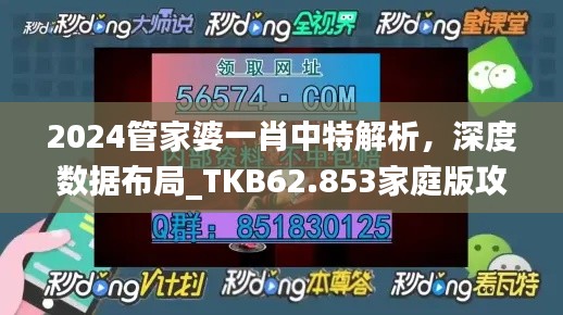 2024管家婆一肖中特解析，深度數(shù)據(jù)布局_TKB62.853家庭版攻略