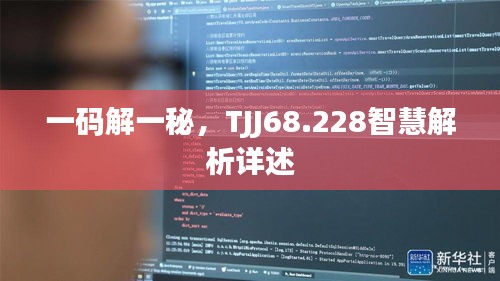 一碼解一秘，TJJ68.228智慧解析詳述
