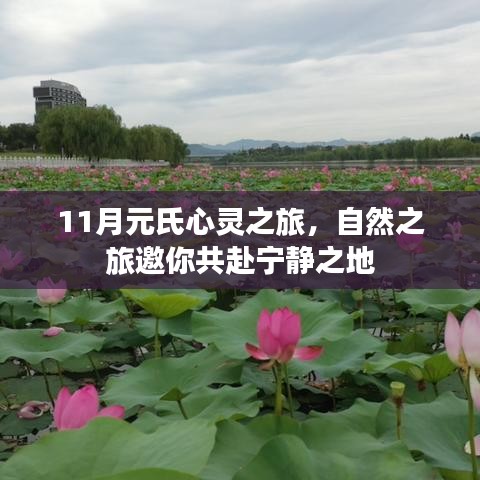11月元氏心靈之旅，自然之旅邀你共赴寧靜之地