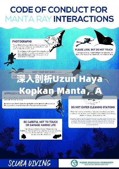 深入剖析Uzun Haya Kopkan Manta，AHS68.254專業(yè)版詳盡解讀
