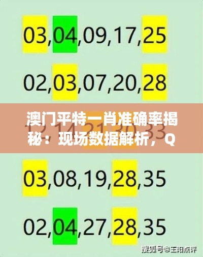 聯(lián)系我們 第13頁