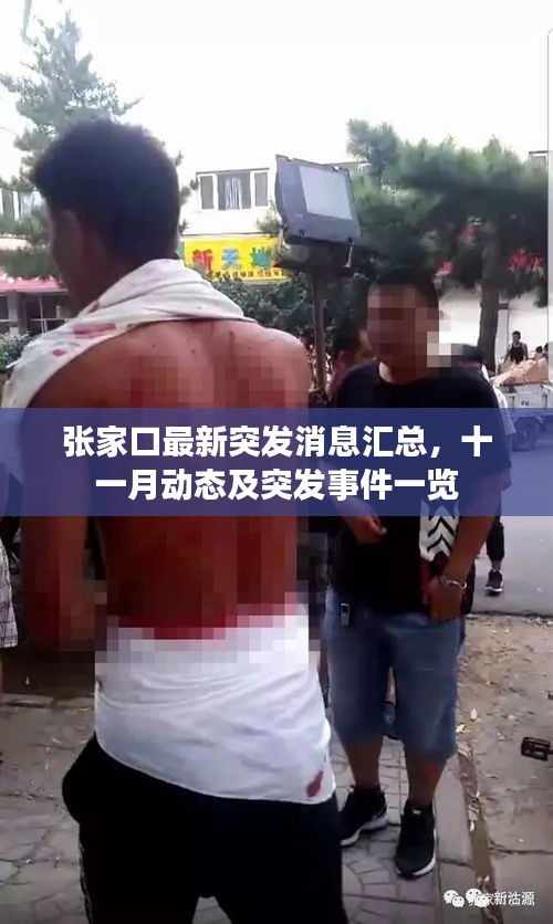 張家口最新突發(fā)消息匯總，十一月動態(tài)及突發(fā)事件一覽