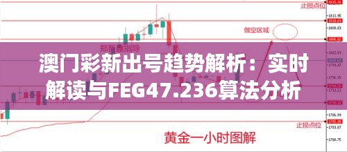 澳門彩新出號(hào)趨勢(shì)解析：實(shí)時(shí)解讀與FEG47.236算法分析