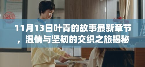 11月13日葉青的故事最新章節(jié)，溫情與堅(jiān)韌的交織之旅揭秘
