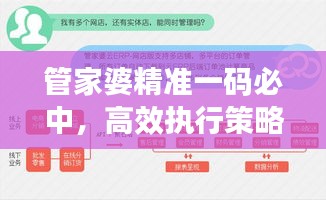 管家婆精準(zhǔn)一碼必中，高效執(zhí)行策略及RHL62.634計算版
