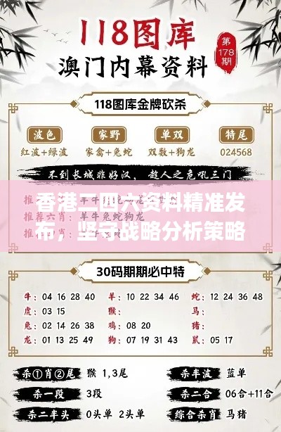 香港二四六資料精準(zhǔn)發(fā)布，堅守戰(zhàn)略分析策略_WTL68.505數(shù)字版