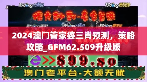 2024澳門管家婆三肖預測，策略攻略_GFM62.509升級版