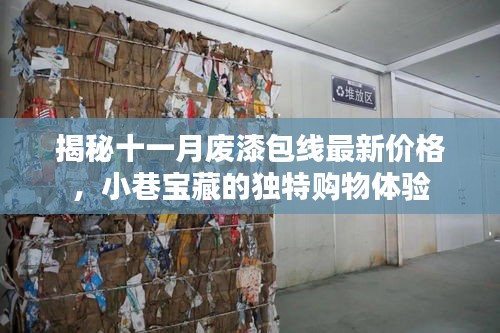 揭秘十一月廢漆包線最新價(jià)格，小巷寶藏的獨(dú)特購(gòu)物體驗(yàn)
