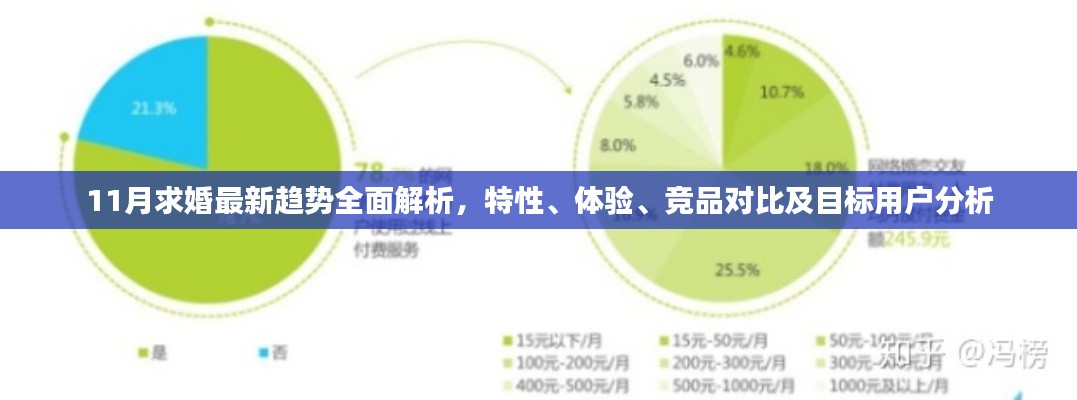 11月求婚最新趨勢全面解析，特性、體驗、競品對比及目標用戶分析