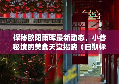 探秘歐陽雨暉最新動(dòng)態(tài)，小巷秘境的美食天堂揭曉（日期標(biāo)注）