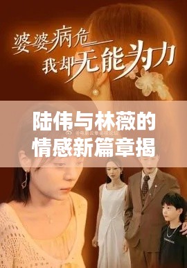 陸偉與林薇的情感新篇章揭秘，妻欲，2024年11月13日最新章節(jié)