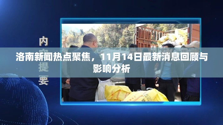 洛南新聞熱點(diǎn)聚焦，11月14日最新消息回顧與影響分析