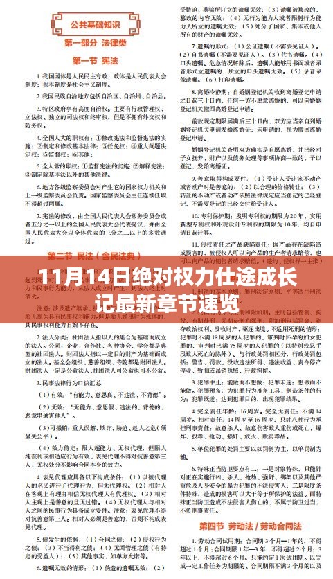 11月14日絕對權力仕途成長記最新章節(jié)速覽