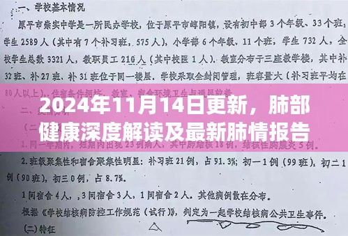 2024年11月14日更新，肺部健康深度解讀及最新肺情報(bào)告