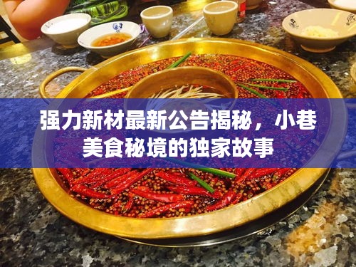 強力新材最新公告揭秘，小巷美食秘境的獨家故事