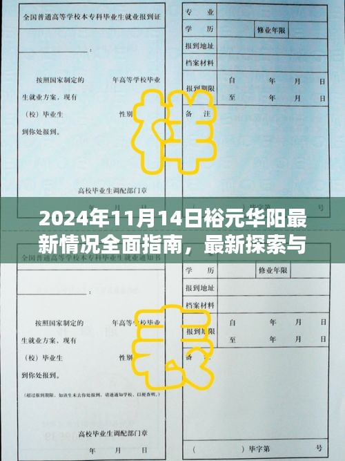 2024年11月14日裕元華陽最新情況全面指南，最新探索與資訊