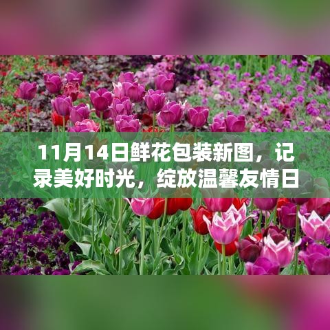 11月14日鮮花包裝新圖，記錄美好時(shí)光，綻放溫馨友情日