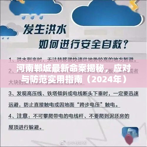 河南鄲城最新命案揭秘，應(yīng)對與防范實(shí)用指南（2024年）