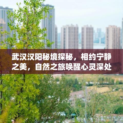 武漢漢陽秘境探秘，相約寧靜之美，自然之旅喚醒心靈深處（往年新聞回顧）