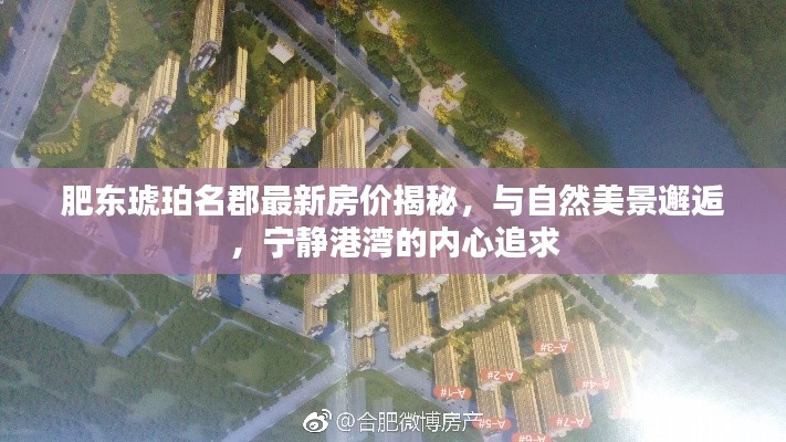 肥東琥珀名郡最新房價揭秘，與自然美景邂逅，寧靜港灣的內(nèi)心追求
