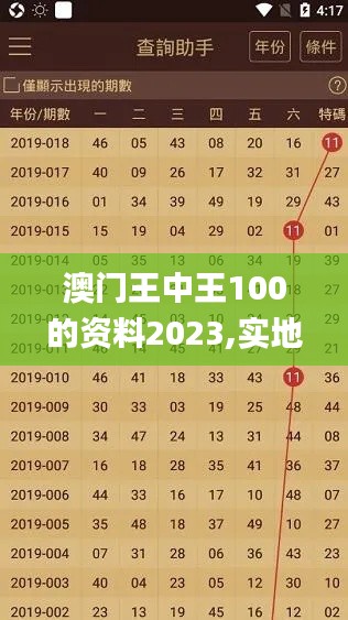 澳門王中王100的資料2023,實(shí)地?cái)?shù)據(jù)評(píng)估分析_YYL76.677多功能版