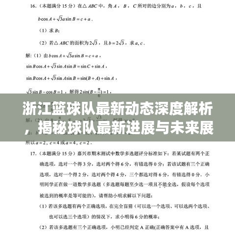浙江籃球隊(duì)最新動(dòng)態(tài)深度解析，揭秘球隊(duì)最新進(jìn)展與未來(lái)展望（2024年11月14日）