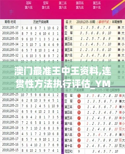澳門最準(zhǔn)王中王資料,連貫性方法執(zhí)行評(píng)估_YMQ76.770發(fā)布版