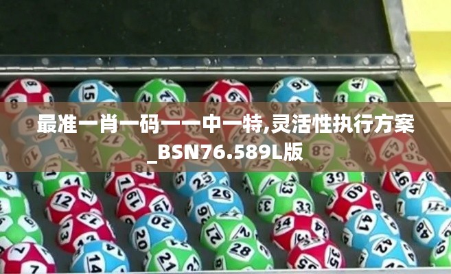 最準(zhǔn)一肖一碼一一中一特,靈活性執(zhí)行方案_BSN76.589L版