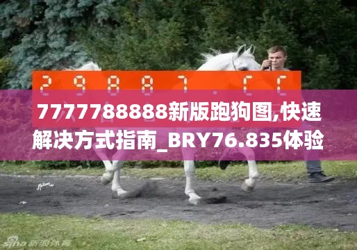 7777788888新版跑狗圖,快速解決方式指南_BRY76.835體驗(yàn)版