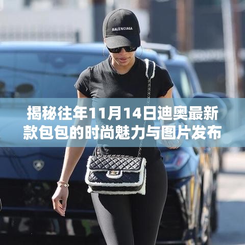 揭秘往年11月14日迪奧最新款包包的時(shí)尚魅力與圖片發(fā)布