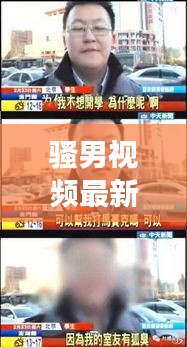 騷男視頻最新篇章，2024年11月14日解說敘事回響