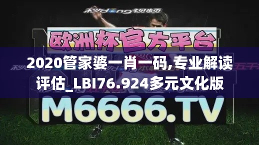 2020管家婆一肖一碼,專業(yè)解讀評估_LBI76.924多元文化版