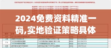 2024免費資料精準一碼,實地驗證策略具體_KAI76.660私人版