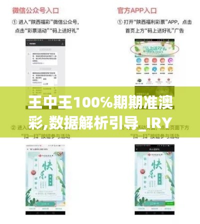 王中王100℅期期準(zhǔn)澳彩,數(shù)據(jù)解析引導(dǎo)_IRY76.897溫馨版
