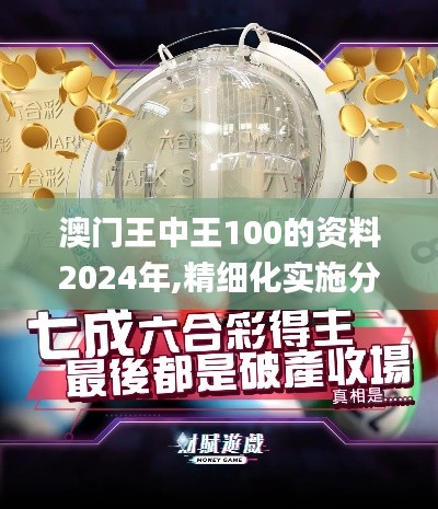 澳門王中王100的資料2024年,精細(xì)化實(shí)施分析_MCG76.262精致版