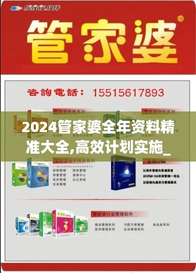 2024管家婆全年資料精準大全,高效計劃實施_MAM76.503專業(yè)版