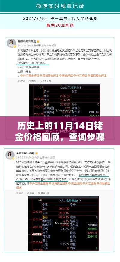 歷史上的11月14日銠金價(jià)格回顧，查詢步驟指南與初學(xué)者入門篇