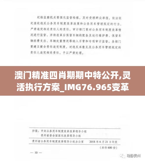 澳門精準(zhǔn)四肖期期中特公開,靈活執(zhí)行方案_IMG76.965變革版