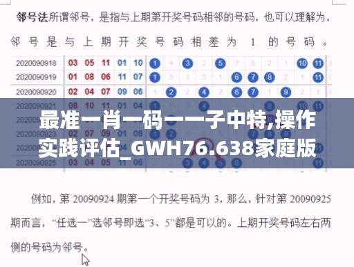 最準(zhǔn)一肖一碼一一子中特,操作實(shí)踐評(píng)估_GWH76.638家庭版