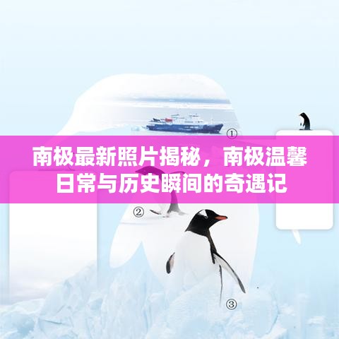 南極最新照片揭秘，南極溫馨日常與歷史瞬間的奇遇記