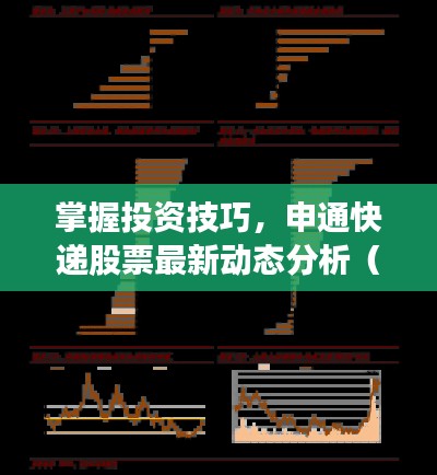 掌握投資技巧，申通快遞股票最新動(dòng)態(tài)分析（2024年11月版）
