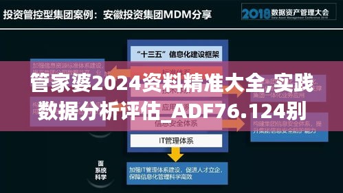 管家婆2024資料精準(zhǔn)大全,實(shí)踐數(shù)據(jù)分析評(píng)估_ADF76.124別致版
