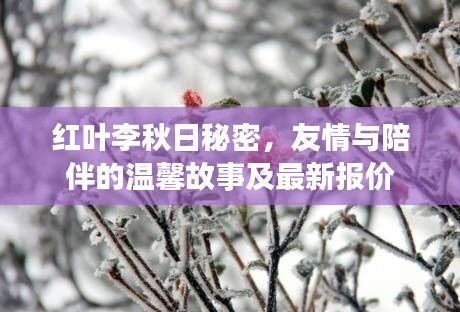 紅葉李秋日秘密，友情與陪伴的溫馨故事及最新報價