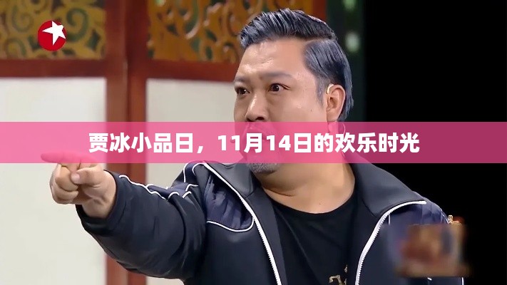 賈冰小品日，11月14日的歡樂時光