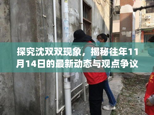 探究沈雙雙現(xiàn)象，揭秘往年11月14日的最新動態(tài)與觀點爭議