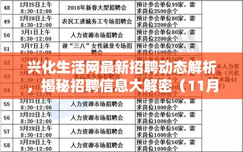 興化生活網(wǎng)最新招聘動(dòng)態(tài)解析，揭秘招聘信息大解密（11月14日更新）