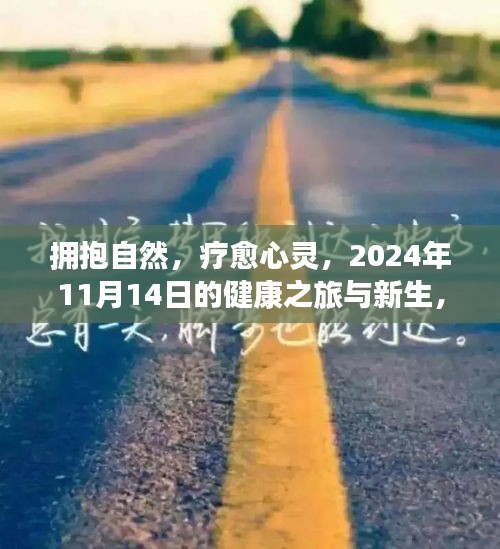 擁抱自然，療愈心靈，2024年11月14日的健康之旅與新生，最新患病人數(shù)報(bào)告
