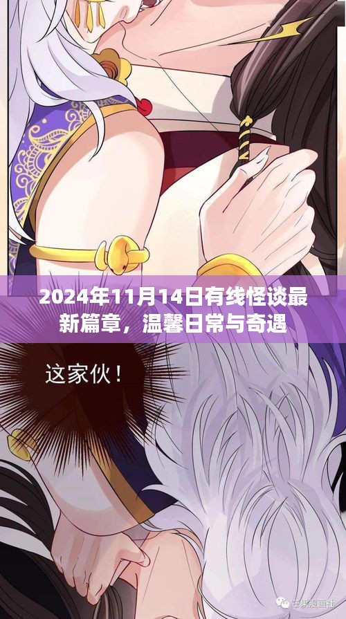 2024年11月14日有線怪談最新篇章，溫馨日常與奇遇